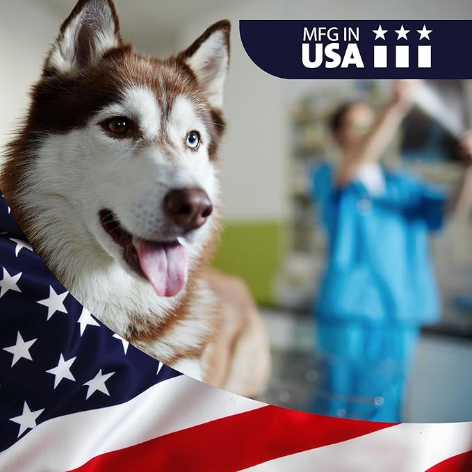 VetWELL Dog Ear Cleaner Solution & Infection Treatment for Dogs & Cats, Tris Otic Cleanser Drops Helps Eliminate Odor and Relieve Infections - 12oz VetWELL