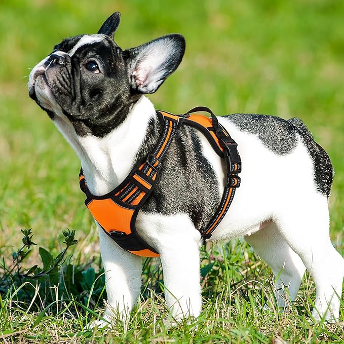 Eagloo Dog Harness Small Sized Dog, No Pull Service Vest with Reflective Strips and Control Handle, Adjustable and Comfortable for Easy Walking, No Choke Pet Harness with 2 Metal Rings, Orange, S GoExplorewithEagloo