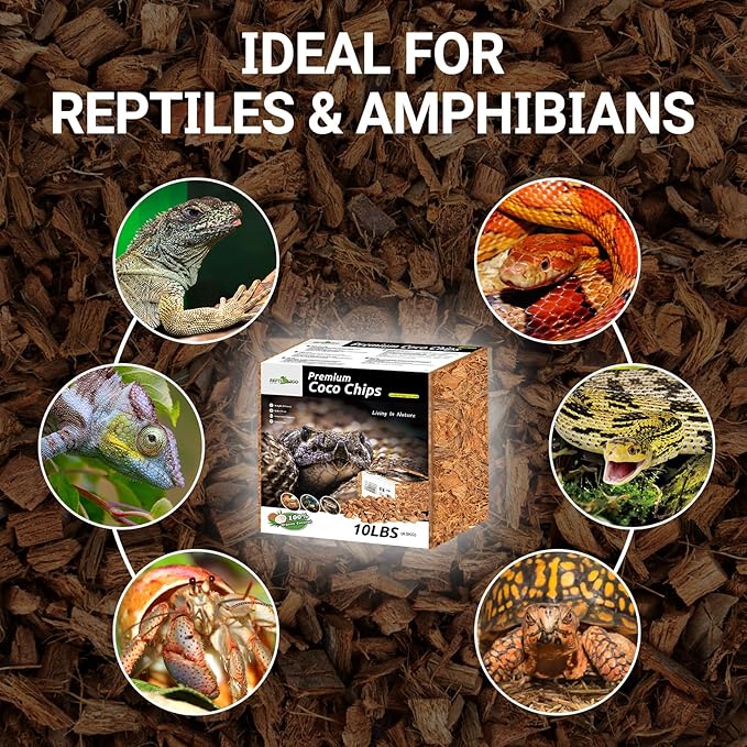 REPTI ZOO 72 Quart Reptiles Coconut Chip Substrate, Coco Husk Reptiles Bedding for Ball Python, Snakes, Geckos, Lizards, Tortoises, Frogs | Terrarium Tanks Substrate REPTIZOO