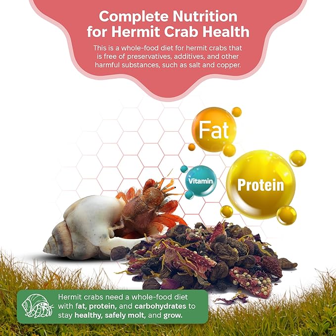 Snout and Shell - Summer Sunset Hermit Crab Food - 1 oz - 30 Grams - Whole Food Diet for Hermit Crabs - Flowers, Bugs and More SNOUTANDSHELL
