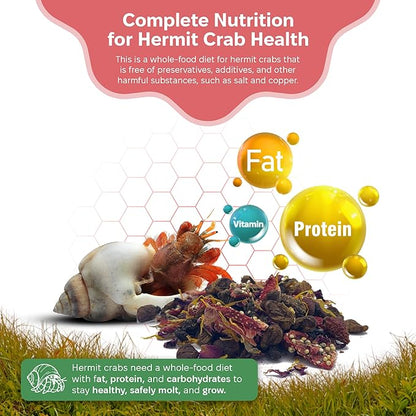 Snout and Shell - Summer Sunset Hermit Crab Food - 1 oz - 30 Grams - Whole Food Diet for Hermit Crabs - Flowers, Bugs and More SNOUTANDSHELL