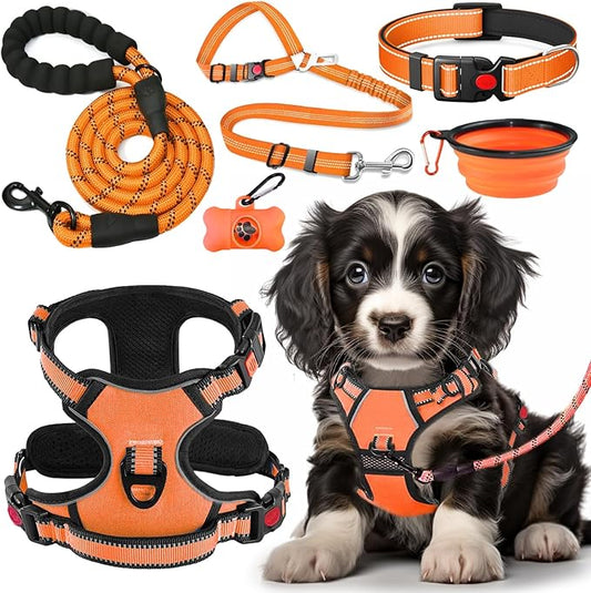 No Pull Dog Harness, Collar & Leash Set | Includes Dog Seat Belt, Collapsible Bowls & Poop Bag Dispenser. Ideal for Training, Walking, Hiking. Fits Small to Large Dogs(Orange-M) Lovebegetslove