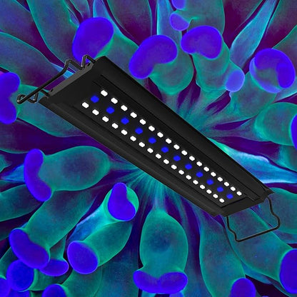 Aquatop SkyAqua Marine LED Saltwater Aquarium Light, 14000K Spectrum – Fits 18-24-Inch Tanks, 3 Position Toggle Switch & Included Remote Control, Aquarium Lights for Fish Tanks, UL & CSA AQUATOP