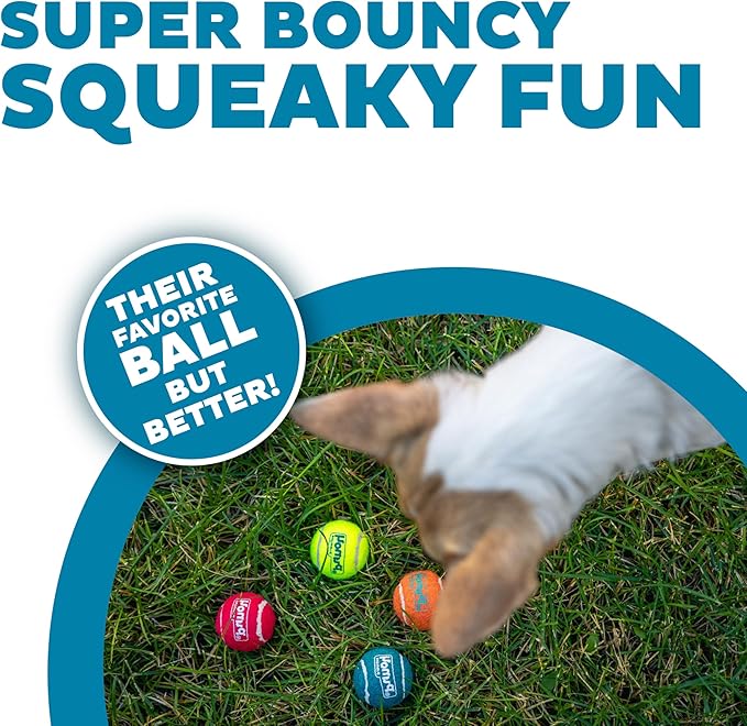 Outward Hound Squeaker Ballz Fetch Dog Toy, XS - 4 Pack - PAWPICO