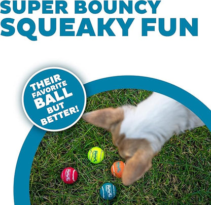 Outward Hound Squeaker Ballz Fetch Dog Toy, XS - 4 Pack - PAWPICO