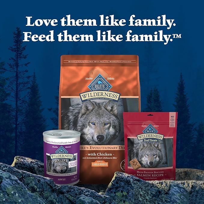 Blue Buffalo Wilderness Large Breed Adult Dry Dog Food Wholesome Grains Natural Ingredients Chicken - PAWPICO