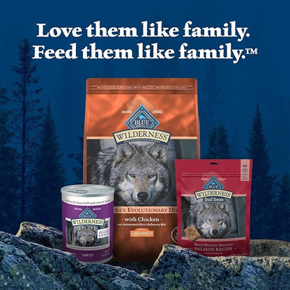 Blue Buffalo Wilderness Large Breed Adult Dry Dog Food Wholesome Grains Natural Ingredients Chicken - PAWPICO