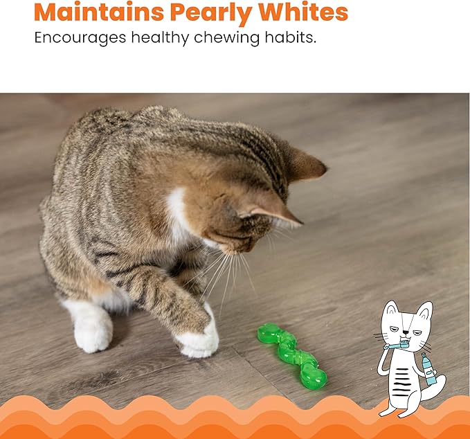 Catstages Orkakat Wiggle Worm Dental Catnip Cat Chew Toy, Assorted Color - PAWPICO
