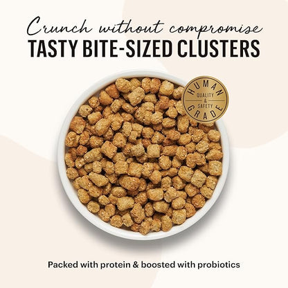 The Honest Kitchen Whole Food Clusters Grain Free Chicken & Fish Dry Cat Food, 10 lb Bag - PAWPICO