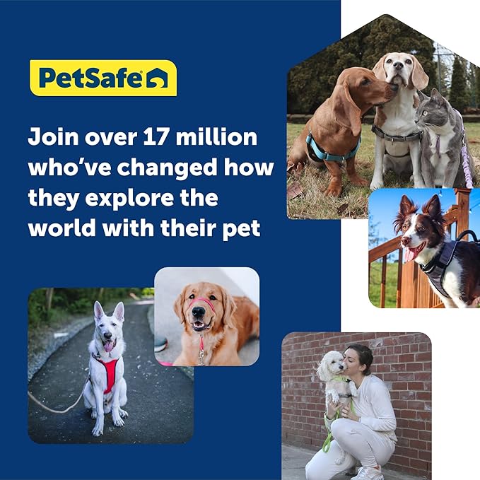 PetSafe Gentle Leader No-Pull Head Collar for Dogs, Dog Head Collar - The Ultimate Solution to Pulling, Padded Nose Loop, Quick-Snap Neck Strap, Dog Halter, Medium - Black PetSafe