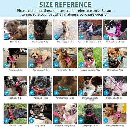 SlowTon No Pull Small Dog Harness and Leash Set, Puppy Soft Vest Harness Neck & Chest Adjustable, Reflective Lightweight Harness & Anti-Twist Pet Lead Combo for Small Medium Dogs (DB-Front Clip, XS) SlowTon