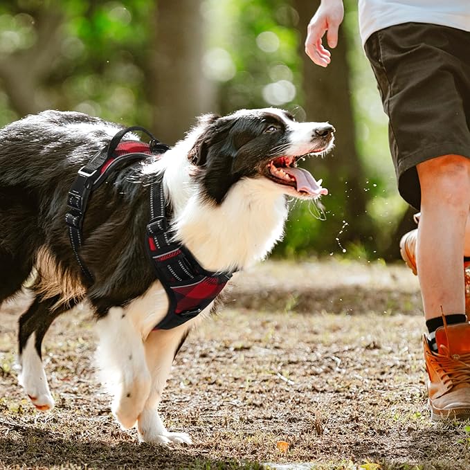 rabbitgoo Dog Harness No Pull with 2 Leash Clips, Adjustable Soft Padded, Reflective Oxford No Choke Pet Vest with Easy Control Handle for Large Dogs, Red Plaid, L rabbitgoo