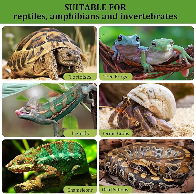 Riare 2LBS Expanded Clay Balls Terrarium Substrate for Reptiles - 100% Organic Lightweight Clay Pebbles Substrate Frogs False Bottom Substrate, Bioactive Terrarium Substrate for Drainage and Moisture Riare
