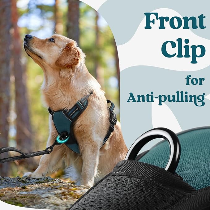 rabbitgoo Dog Harness Medium Sized, No Pull Pet Harness with 3 Buckles, Adjustable Soft Padded Pooch Vest with Instant Control Handle, Easy Walking Reflective Pet Vest for Medium Dogs, Blue Coral, M - PAWPICO