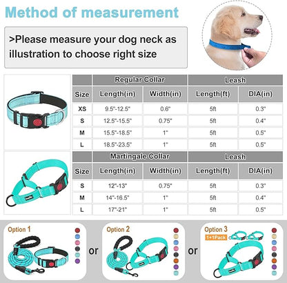 haapaw 2 Packs Martingale Dog Collar with Quick Release Buckle Reflective Dog Training Collars for Small Medium Large Dogs haapaw