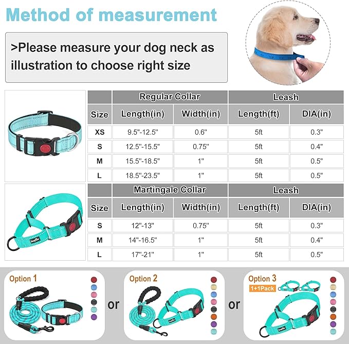 haapaw 2 Packs Martingale Dog Collar with Quick Release Buckle Reflective Dog Training Collars for Small Medium Large Dogs (Large, Turquoise/Turquoise) haapaw