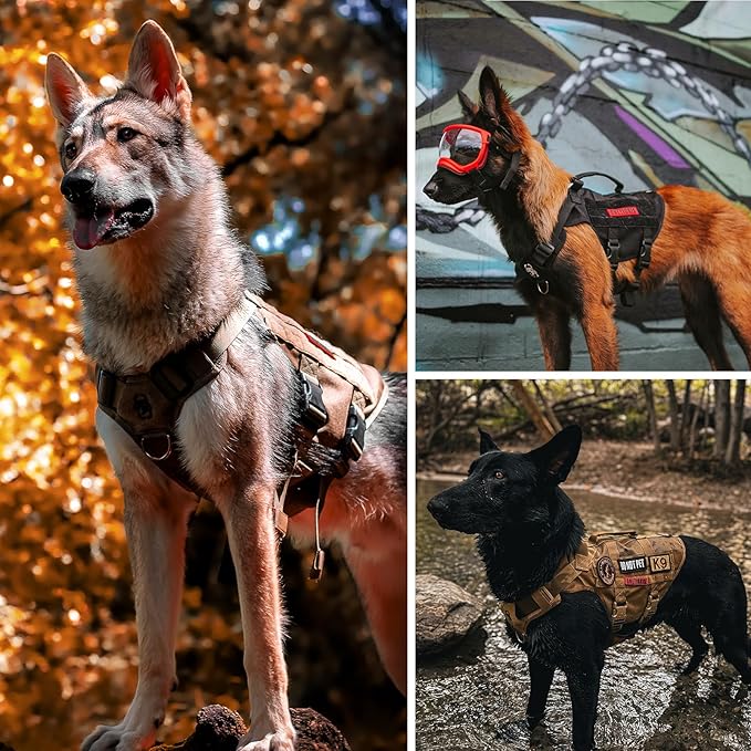 OneTigris Mesh Design Tactical No Pull Dog Harness for Large Dog, Breathable Service Dog Vest Harness with Handle, Military Dog Harness with Molle Panels for Walking Hiking Training (Orange, M) - PAWPICO