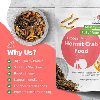 Snout and Shell - Protein Mix Hermit Crab Food - 1 oz - 30 Grams - Whole Food Diet for Hermit Crabs - Seeds, Sea Creatures, Bugs and More SNOUTANDSHELL