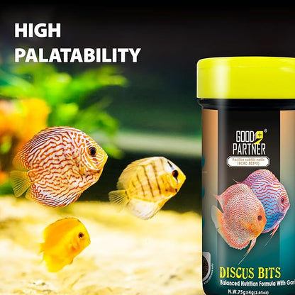 Purify Series for Discus Fish Food, Tropical Sinking Pellets, Suitable for Angelfish, Cichlids and Fish, All Natural Ingredients, 2.65 oz (Pack of 1) GOODPARTNERFishFoodPurifySeries