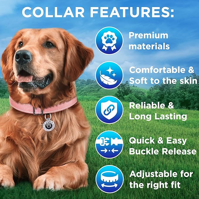 TECEUM Reflective Pet Collar – Pink – S – Basic Nylon Dog Collar – Quick Release Buckle – Fits Small, Medium and Large Dogs, Puppies, Cats – ESA & Service Dog Options TECEUM