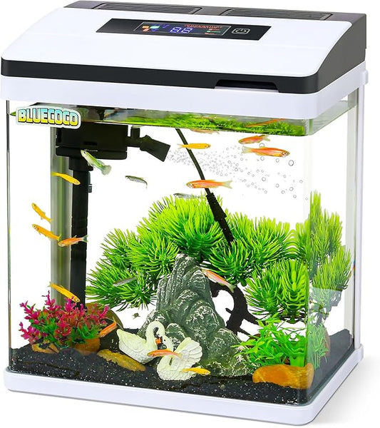 2 Gallon Glass Aquarium Fish Tank Starter Kit with Temperature for Betta Fish Featuring Crystal Clear 360° Viewing, Eco-Cycle Filtration, Air Pump Bluecoco