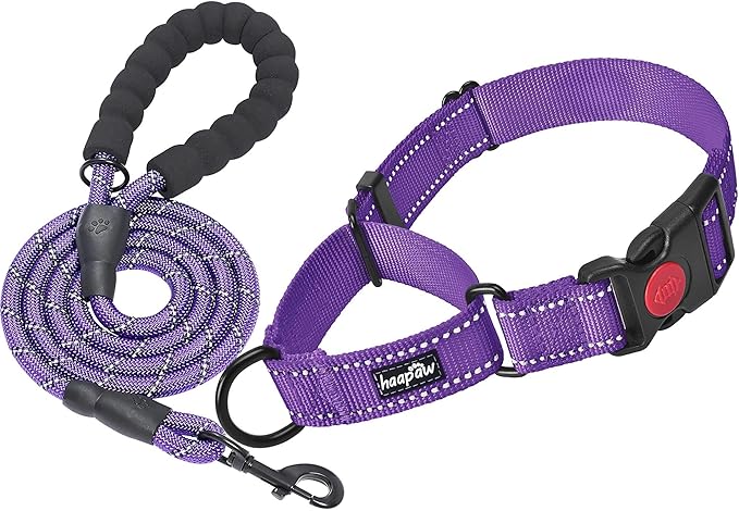 haapaw 2 Packs Martingale Dog Collar with Quick Release Buckle Reflective Dog Training Collars for Small Medium Large Dogs haapaw
