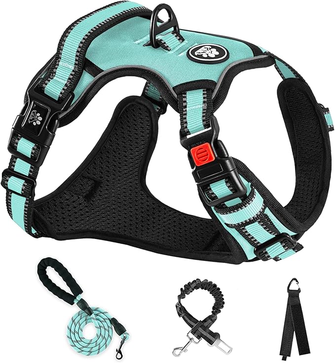 NESTROAD No Pull Dog Harness,Adjustable Oxford Dog Vest Harness with Leash,Reflective No-Choke Pet Harness with Easy Control Soft Handle for Large Dogs(Large,Turquoise) NESTROAD