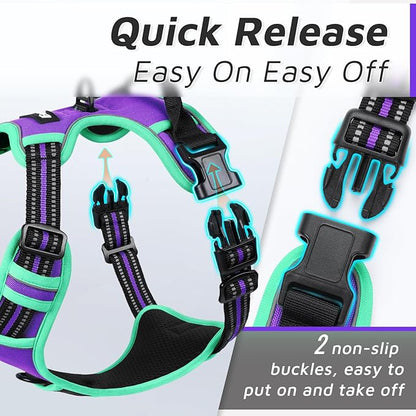 Eagloo Dog Harness for Large Dogs, No Pull Service Vest with Reflective Strips and Control Handle, Adjustable and Comfortable for Easy Walking, No Choke Harness with 2 Metal Rings, Purple & Green, S GoExplorewithEagloo