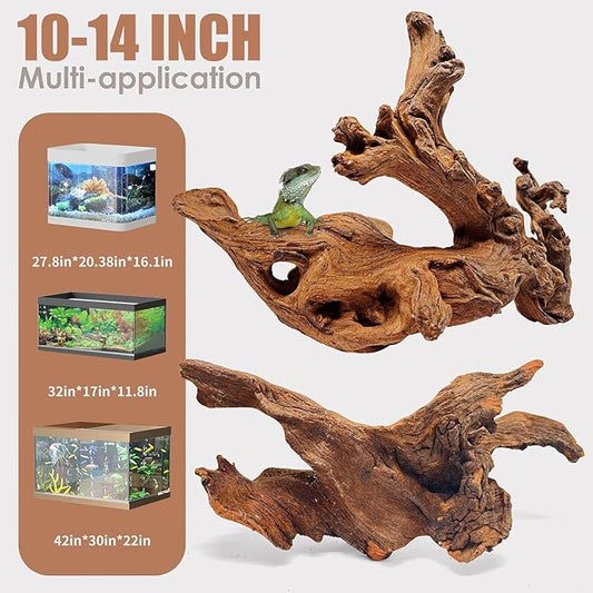 Natural Large Coral Driftwood for Aquarium Decor Fish Tank Decorations Reptile Decor, Assorted Driftwood Branch 10-14" Pack of 2 Jorewood