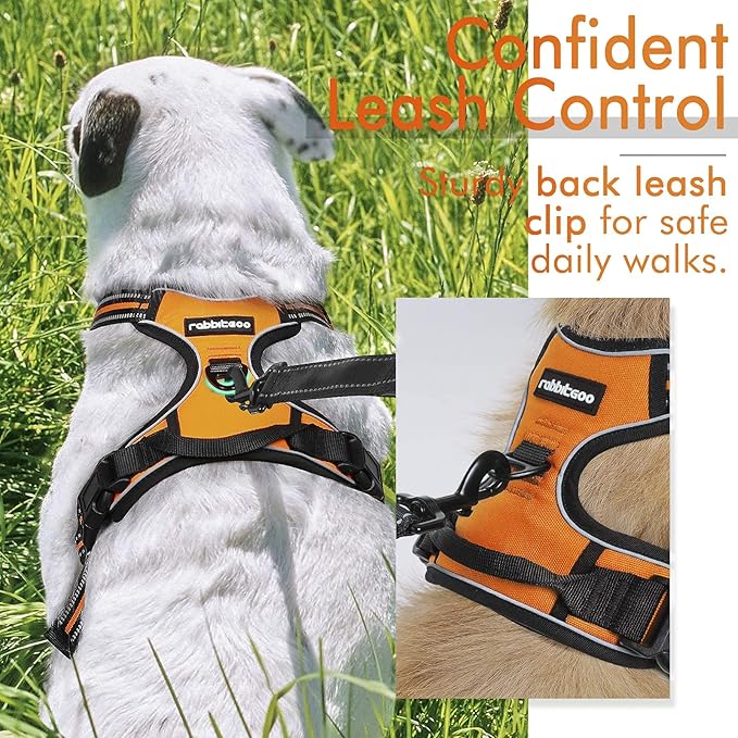 rabbitgoo Dog Harness, No-Pull Pet Harness with 2 Leash Clips, Adjustable Soft Padded Dog Vest, Reflective No-Choke Pet Oxford Vest with Easy Control Handle for Large Dogs, Orange, XL - PAWPICO