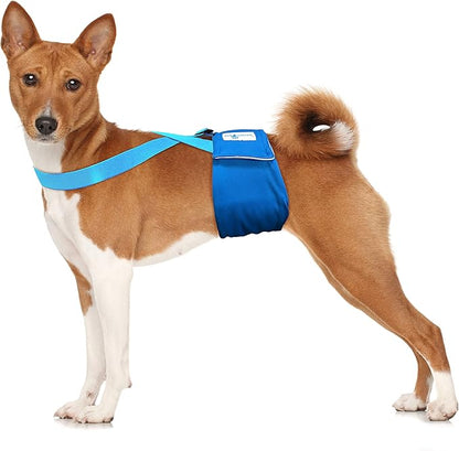 Paw Inspired Dog Diaper Suspenders with Velcro Fasteners | Stretchy Adjustable Suspenders for Female and Male Disposable and Washable Diapers | Fits Small, Medium and Large Size Pets (M/L, Blue) - PAWPICO