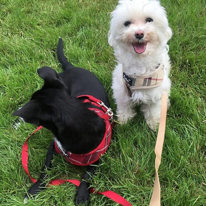 PUPTECK Soft Mesh Dog Harness and Leash Set Pet Puppy Cat Comfort Padded Vest No Pull Harnesses, Red, S PUPTECK
