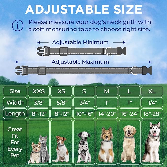 TECEUM Reflective Pet Collar – Gray – XS – Basic Nylon Dog Collar – Quick Release Buckle – Fits Small, Medium and Large Dogs, Puppies, Cats – ESA & Service Dog Options TECEUM