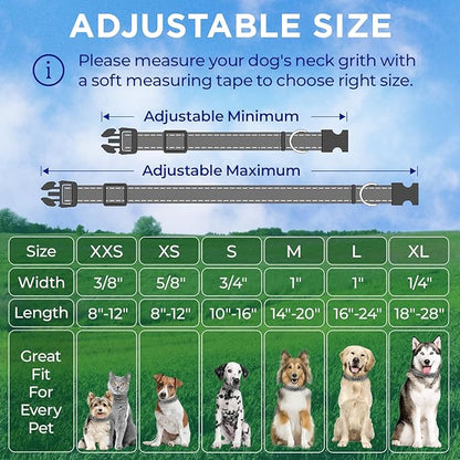 TECEUM Reflective Pet Collar – Gray – XS – Basic Nylon Dog Collar – Quick Release Buckle – Fits Small, Medium and Large Dogs, Puppies, Cats – ESA & Service Dog Options TECEUM