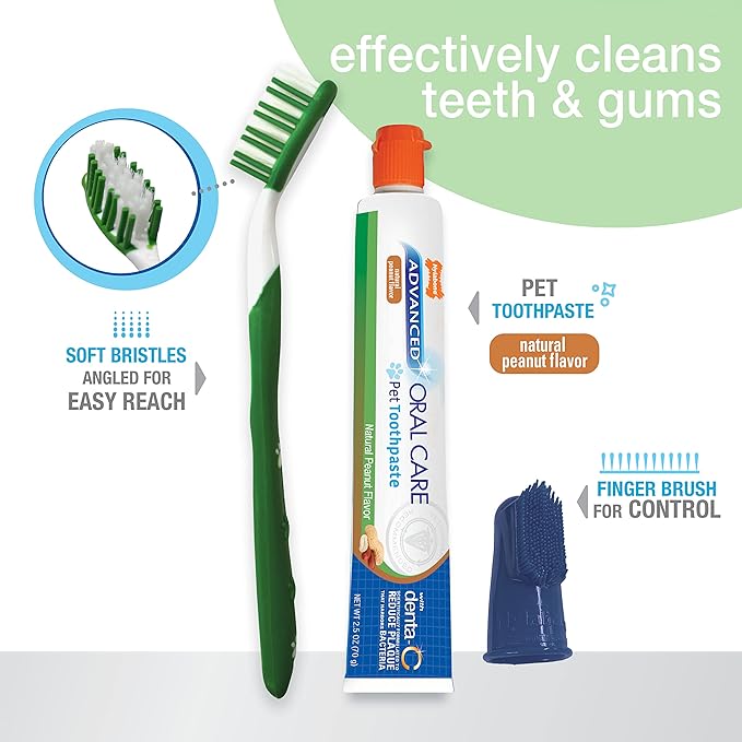 Nylabone Advanced Oral Care Natural Dog Dental Kit Peanut Flavor 2.5 oz. Nylabone