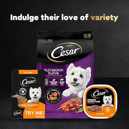Cesar Filets in Gravy Wet Dog Food Filet Mignon Flavor and Rotisserie Chicken Flavor Variety Pack, 1.76 oz. Mini-Pouches, 20 Pack (Pack of 2) - PAWPICO