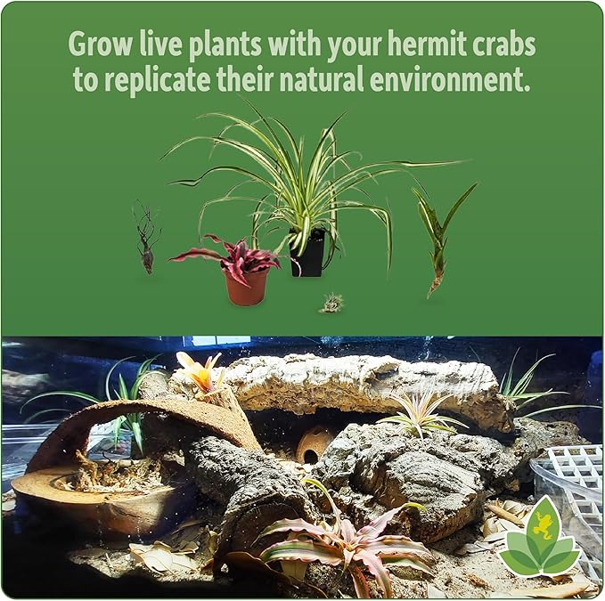 Josh's Frogs Hermit Crab BioBedding Bioactive Substrate (4 Quart (Sand Included)) JoshsFrogs