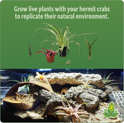 Josh's Frogs Hermit Crab BioBedding Bioactive Substrate (4 Quart (Sand Included)) JoshsFrogs