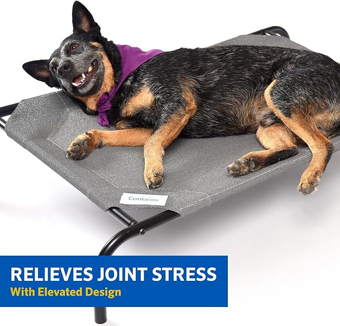 COOLAROO The Original Cooling Elevated Dog Bed, Indoor and Outdoor, Small, Grey - PAWPICO