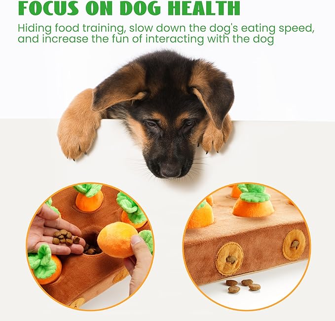 Nocciola 12 pcs Carrot Dog Squeaky Toys with Food Dispensing Carrot Farm, Dog Enrichment Toys for Hide and Seek, Puzzle Toys for Small and Medium Dogs - PAWPICO