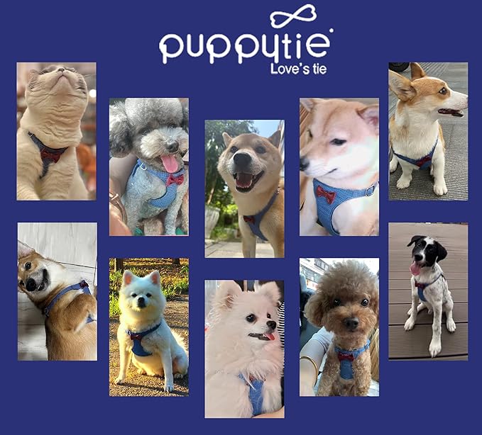 Puppytie No Pull Dog Harness with Multifunction Dog Leash,Soft Adjustable No Choke Escape Proof Pet Harness Vest for Medium Dogs,Plaid Blue,M Puppytie