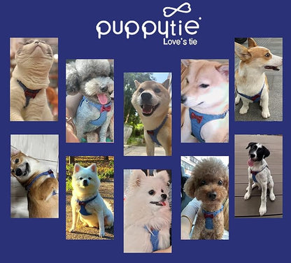 Puppytie No Pull Dog Harness with Multifunction Dog Leash,Soft Adjustable No Choke Escape Proof Pet Harness Vest for Medium Dogs,Plaid Blue,M Puppytie