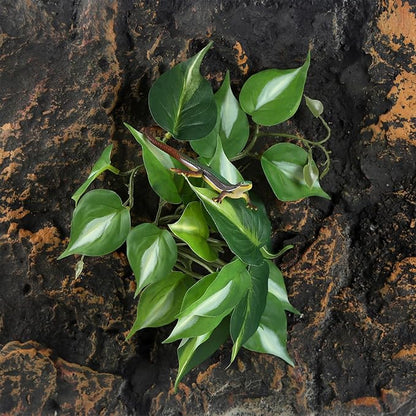 Fake Reptile Plants for Reptile Terrarium Plants, Reptile Plant Décor, Turtle Tank Plants with Suction Cup IBWell