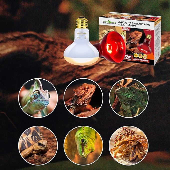REPTI ZOO 100W Reptile Heat Lamp Bulbs Combo, Upgraded 2 Pack Day & Night Basking Spot Light, UVA Daylight Heating Lamp & Infrared Heat Lamp for Reptiles & Amphibians REPTIZOO