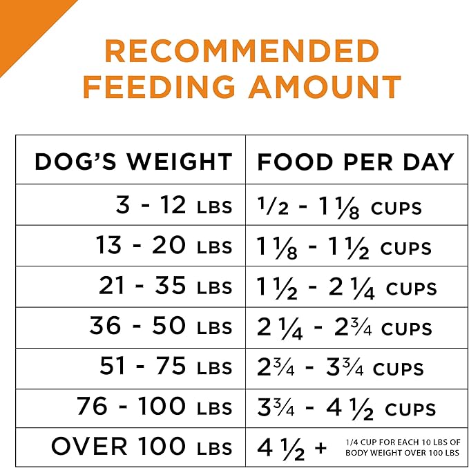 Purina Pro Plan Complete Essentials Shredded Blend Salmon and Rice Dog Food Dry Formula with Probiotics for Dogs - 5 lb. Bag - PAWPICO