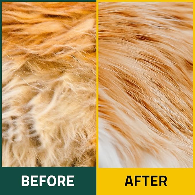 PetO'Cera Mist Sensitive - Itch Relief Spray for Cats | Fragrance-Free & Unscented | Regain Healthy Skin with Ceramide | Dry, Irritated Skin Solution | 5.07oz… BREEZYTAIL