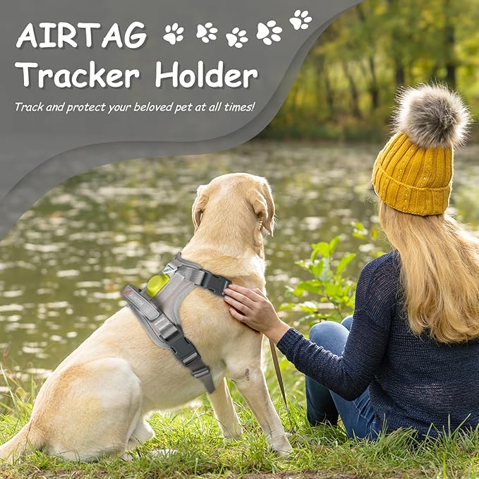 AUROTH Dog Harness Medium Sized Dog, Dog Vest Harness Medium Size Dog, Medium Dog Harness, No Pull Dog Harness for Medium Dogs with Handle, Grey M AurothPets