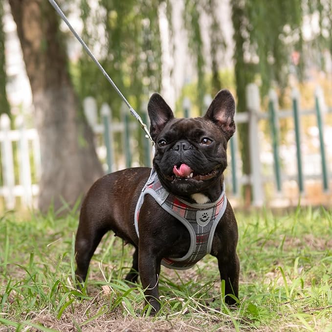 EXPAWLORER Classic Plaid Puppy Harness - Dog Collar and Leash - Soft Mesh Padded Adjustable Step in Small Dog Vest Harness No Pull, Reflective Escape Proof for Outdoor Walking, Grey Small EXPAWLORER