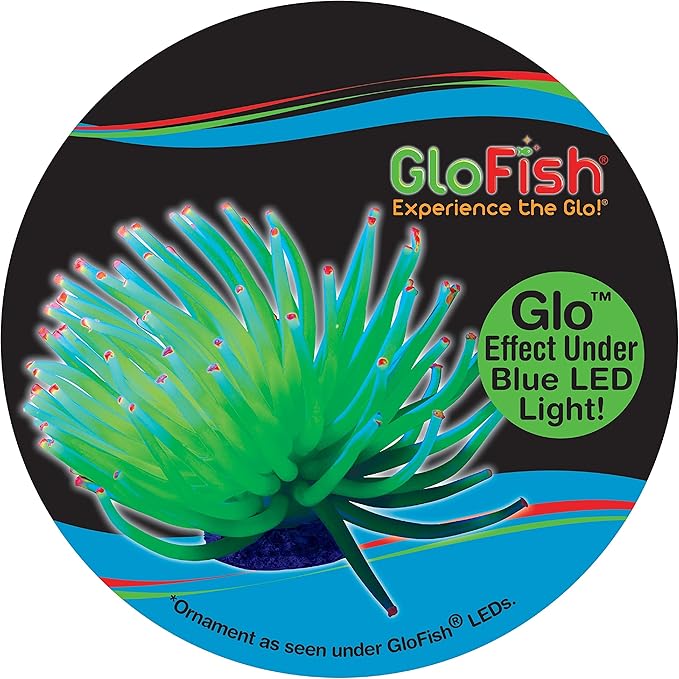 GloFish Anenome Ornaments, Fish Tank Decorations, Aquarium Decorations, Creates a Glowing Effect (Pack of 1) GloFish