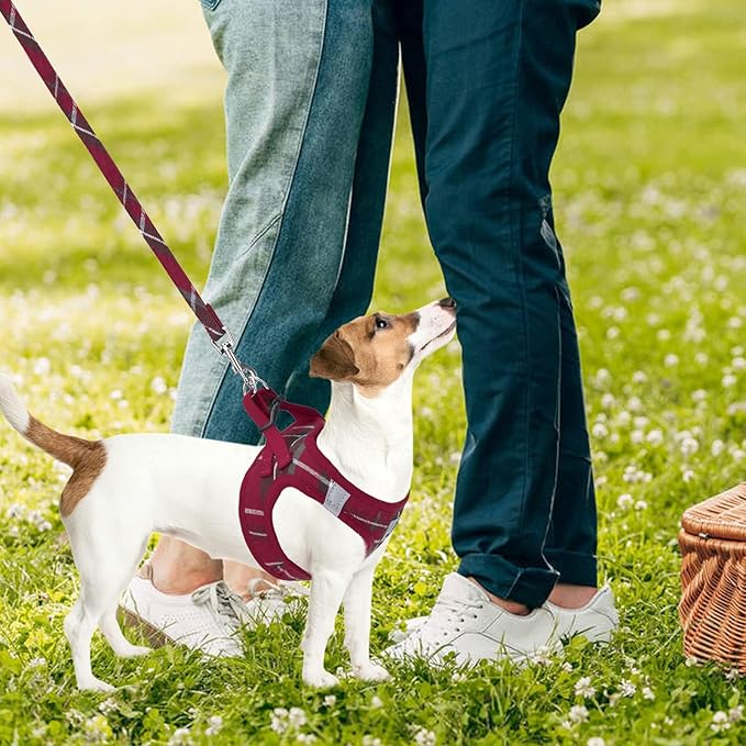 PUPTECK Adjustable Dog Harness Collar and Leash Set Step in No Pull Pet Harness for Small Medium Dogs Puppy and Cats Outdoor Walking Running, Soft Mesh Padded Reflective Vest Harnesses, Red XL PUPTECK